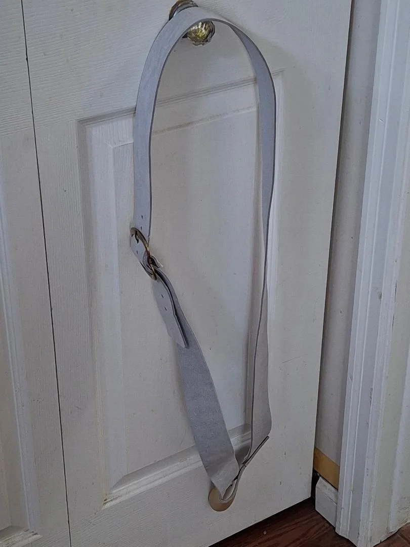 FROG and strap.webp