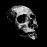 skull panda